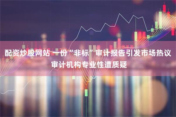 配资炒股网站 一份“非标”审计报告引发市场热议 审计机构专业性遭质疑