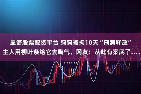 靠谱股票配资平台 狗狗被拘10天“刑满释放”！主人用柳叶条给它去晦气，网友：从此有案底了……