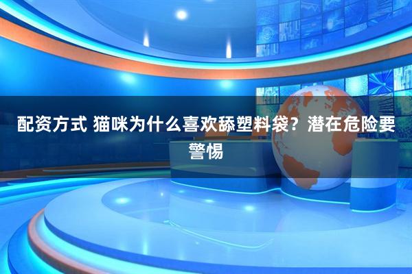 配资方式 猫咪为什么喜欢舔塑料袋？潜在危险要警惕