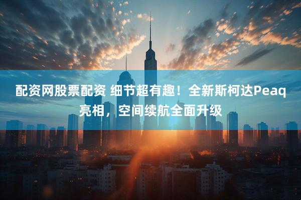 配资网股票配资 细节超有趣！全新斯柯达Peaq亮相，空间续航全面升级