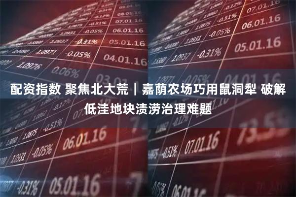 配资指数 聚焦北大荒｜嘉荫农场巧用鼠洞犁 破解低洼地块渍涝治理难题